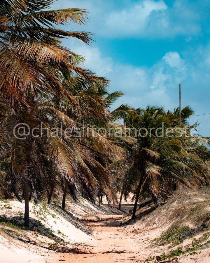 Chales Paraiso De Maracajau 1 Villa Екстериор снимка